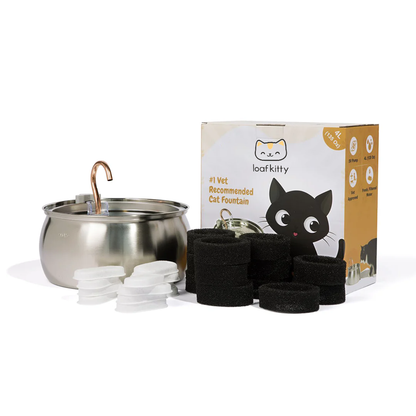 The LoafKitty™ Fountain