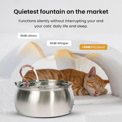 The LoafKitty™ Fountain