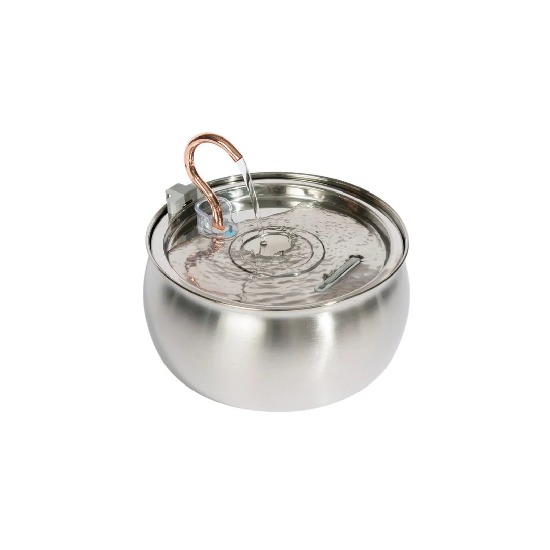 The LoafKitty™ Fountain