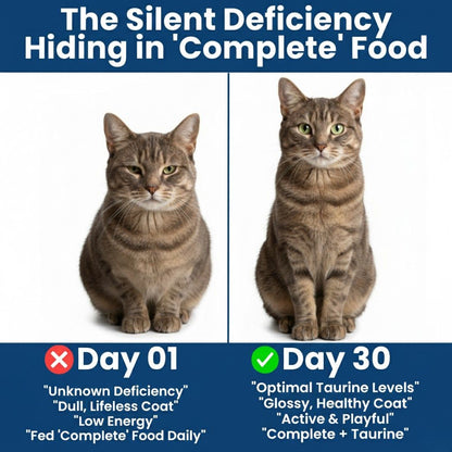 MeowSupps™ Taurine