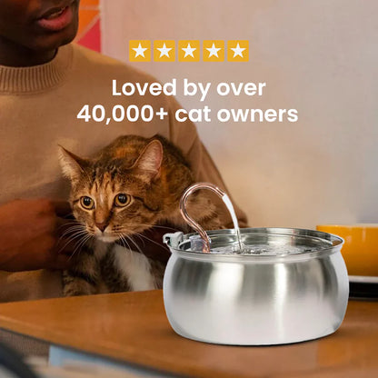 The LoafKitty™ Fountain